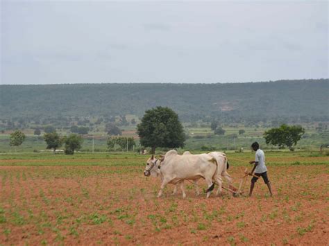 Telangana Govt To Begin Crop Loan Waiver Up To Rs 1 Lakh On July 18