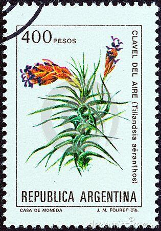 Argentina Circa A Stamp Printed In Argentina From The Flowers