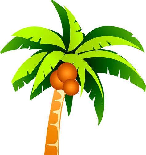 Download Hd Vector Clipart Coconut Tree Coconut Tree Vector Png