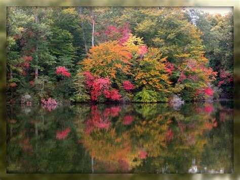 Living In Williamsburg Virginia Fall Foliage On The Colonial Parkway