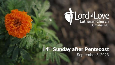 Th Sunday After Pentecost September Lord Of Love Lutheran