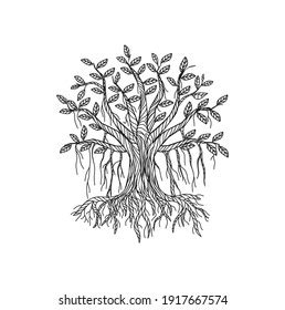 Banyan Tree Vector Art Hand Drawn Stock Vector Royalty Free