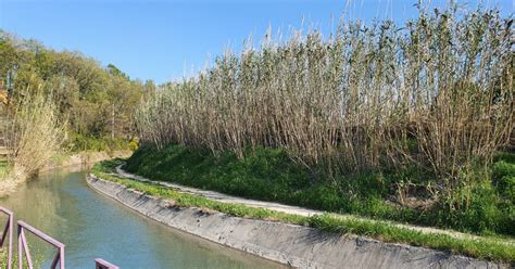 Carpentras Remise En Eau Progressive Du Canal De Carpentras