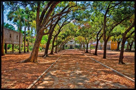 Reflections On The History Of Jaffna College | Colombo Telegraph