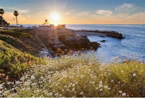 La Jolla California Ultimate Guide By A Local