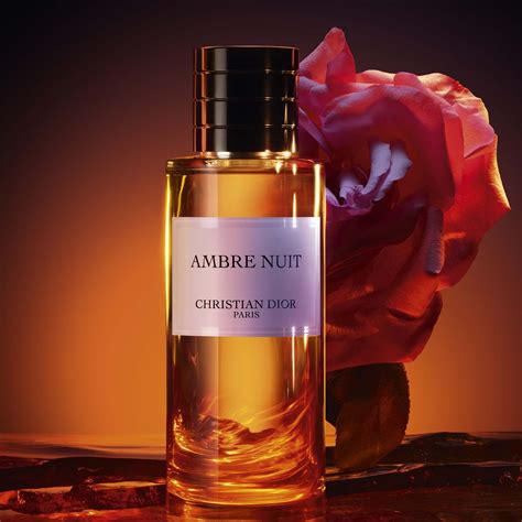 Ambre Nuit Fragrance The Unisex And Mysterious Oriental Fragrance Dior Ca