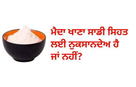 ਮੈਦਾ ਖਾਣਾ ਸਾਡੀ ਸਿਹਤ ਲਈ ਨੁਕਸਾਨਦੇਅ ਹੈ ਜਾਂ ਨਹੀਂ Is All Purpose Flour Unhealthy Or Not Punjab Siyan