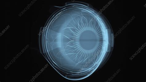 Eye scan, conceptual illustration - Stock Image - F042/1968 - Science ...