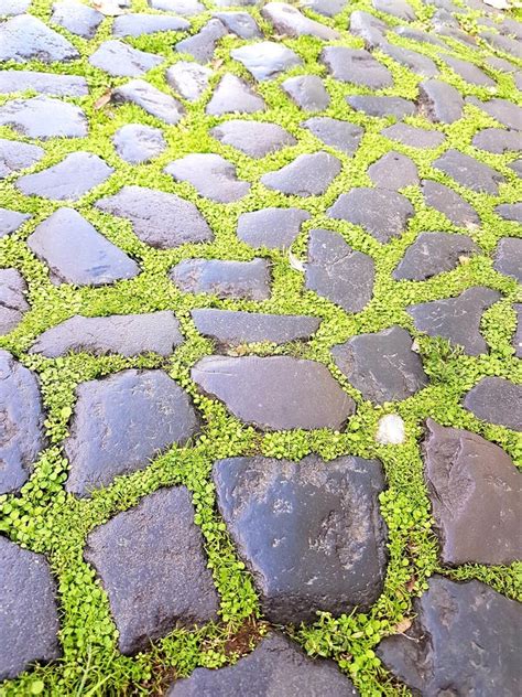 Old Mossy Stone Bricks and Pavement Stock Photo - Image of bricks ...