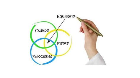 Conexión Emoción Cuerpo Y Mente