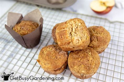 Healthy Apple Muffins Recipe Easy Get Busy Gardening