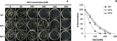 Seed Germination Assay And Salinity Tolerance Of T2 Generation Download Scientific Diagram