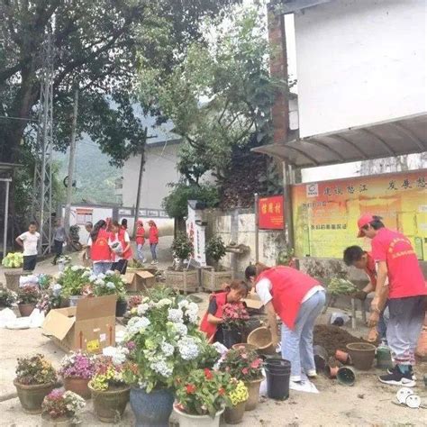 “青力青为” 老窝镇返家乡大学生志愿者助力人居环境再提升 整治 活动 青春