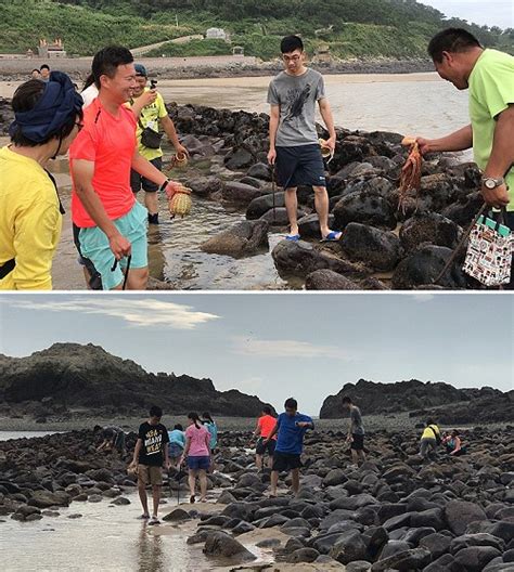 莒光海洋觀光年抓章魚大賽 坤坵歡樂登場 馬祖日報