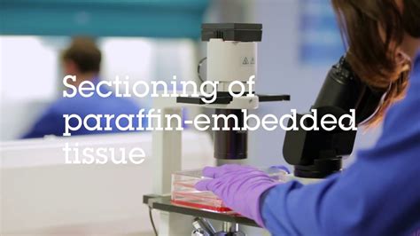 Sectioning Of Paraffin Embedded Tissue Video Protocol Youtube