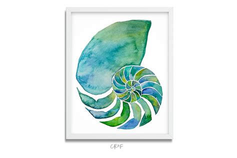 Nautilus Art Print Chambered Nautilus Geometric Art Nature | Etsy