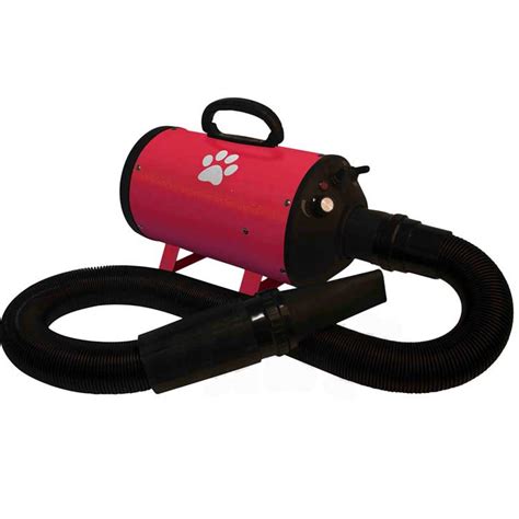 Pulseur Air Chaud Tools 2 Groom Basic Paw R Pour Chien