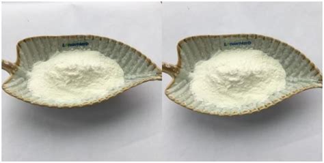 High Quality Papain Enzyme Powder Suppliers Manufacturers Factory