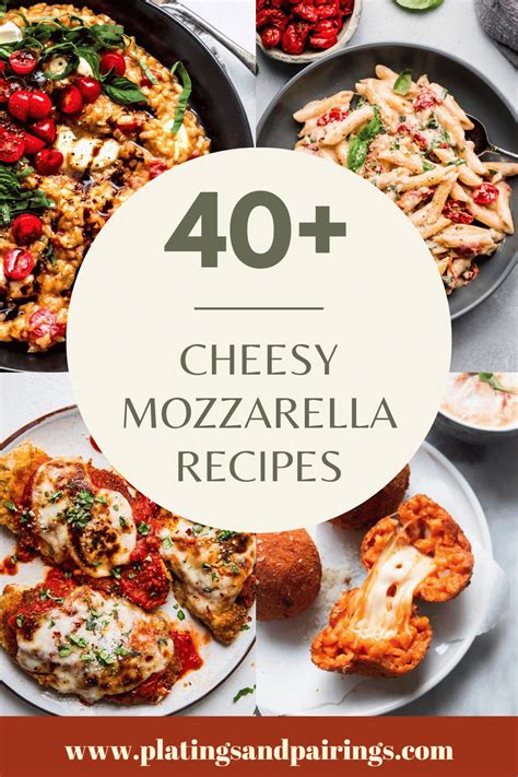 Fresh Mozzarella Cheese Recipes