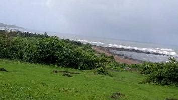 Agricultural Land For Sale In Shrivardhan Raigad Buy Farm Land