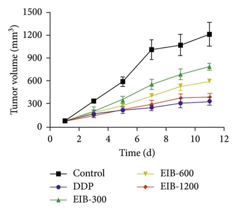 Eib Inhibited The Smmc 7721 Tumor Growth In Xenograft Nude Mice And Download Scientific Diagram