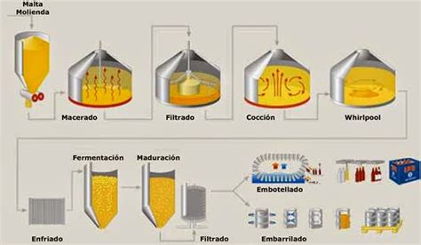 Cerveza Artesanal Como Se Hace La Cerveza