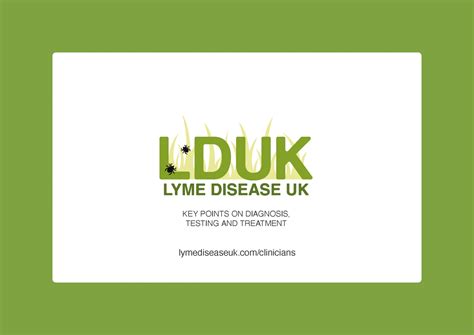 Lyme Disease Uk Key Points On Diagnosis Testing And Treatment