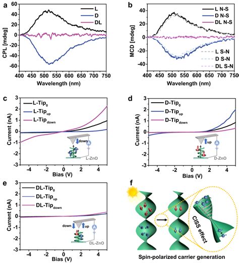 Chirality Induced Spin Polarization Of Chiral Zno A Cpl Spectra Under