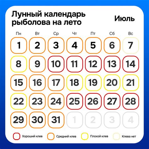 Лунный календарь рыболова на лето-2024: прогноз клева: инфографика