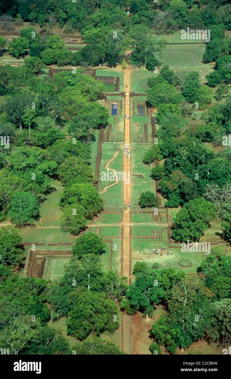 Vue Sur Les Jardins Aquatiques La Forteresse De Sigiriya Rock