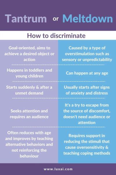 Tantrum vs Autistic Meltdown: What is the difference? How to deal with them? - LuxAI S.A.