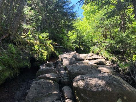 Hike Snowy Mountain - Protect the Adirondacks!