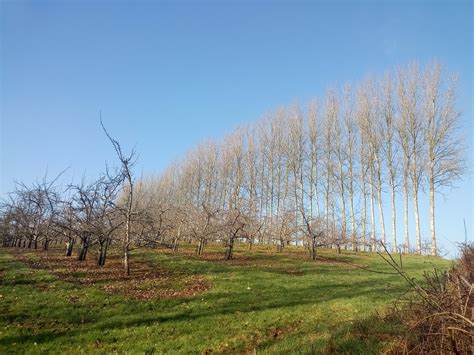 Newton Poppleford and the River Otter Circular - Gay Outdoor Club
