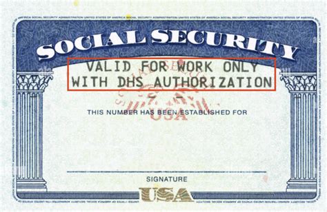 What Is Dhs Authorization On A Social Security Card [2024]