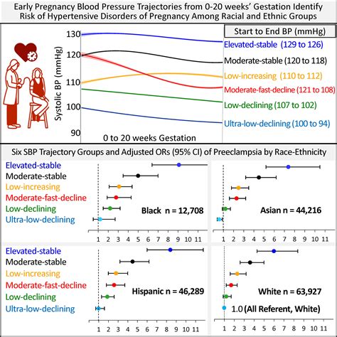 Early Pregnancy Blood Pressure Patterns Identify Risk Of Hypertensive