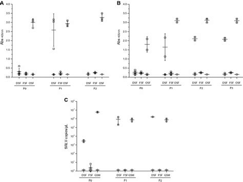 Srlv In Vitro Infection Upon Culture Passages Rt Activity In The