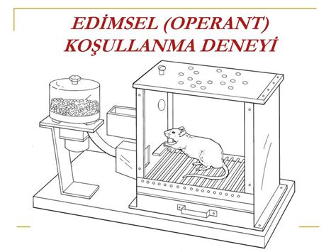 EDİMSEL OPERANT KOŞULLANMA ppt indir