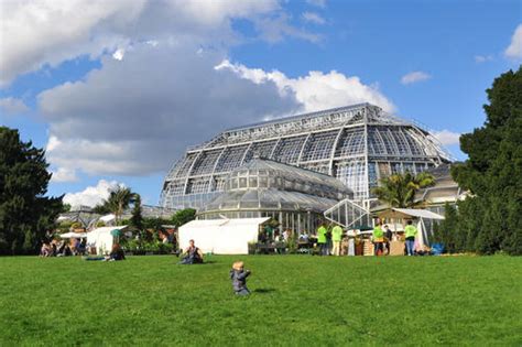 Greenhouse Berlin Botanical Garden - diariosdeumapostcrosser