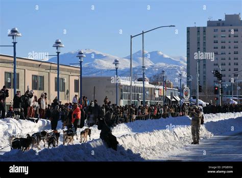 Iditarod 2023 Hi Res Stock Photography And Images Alamy