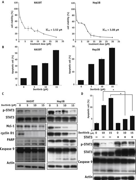 Dovitinib Acts As A Novel Radiosensitizer In Hepatocellular Carcinoma