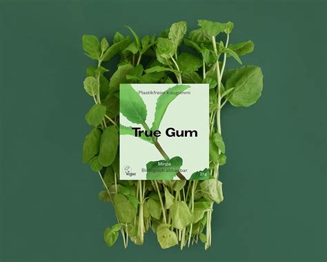 True Gum Set Of 10 Mint Plastic Free Chewing Gum Biodegradable Vegan 10 X 21 G 210 G