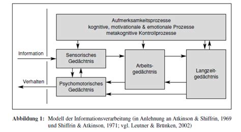 Lernen Als Aktive Informationsverarbeitung Mikroebene MM5 Bildung