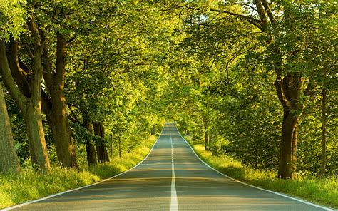 Highway Nature Graphy Trees Hd Wallpaper Peakpx