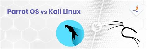 Parrot Os Vs Kali Linux Which One Is Better