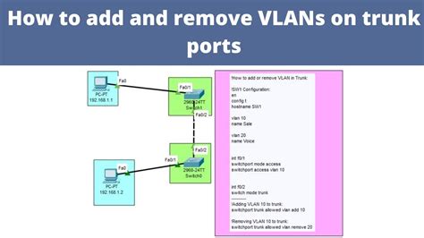 How To Add And Remove VLANs On Trunk Ports CCNA Networkforyou YouTube