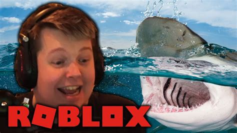 Vi Blir Haimat I Roblox Shark Bite 🦈 Youtube