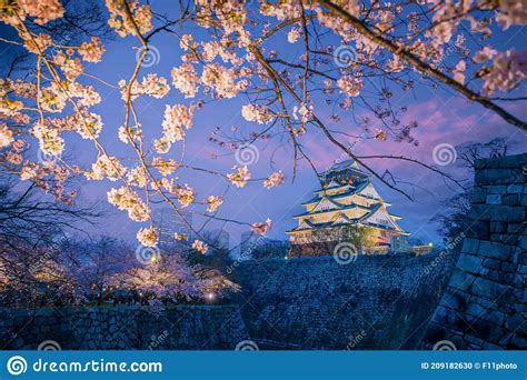 Twilight at Osaka Castle during Cherry Blossoms Season Stock Photo - Image of hanami, famous ...