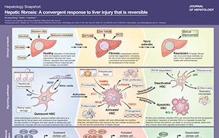 Home Page: Journal of Hepatology