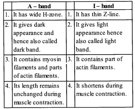 Ncert Solutions Class Biology Chapter