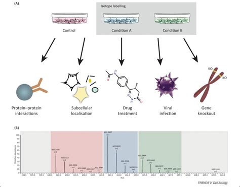 A Perspective On Proteomics In Cell Biology Trends In Cell Biology